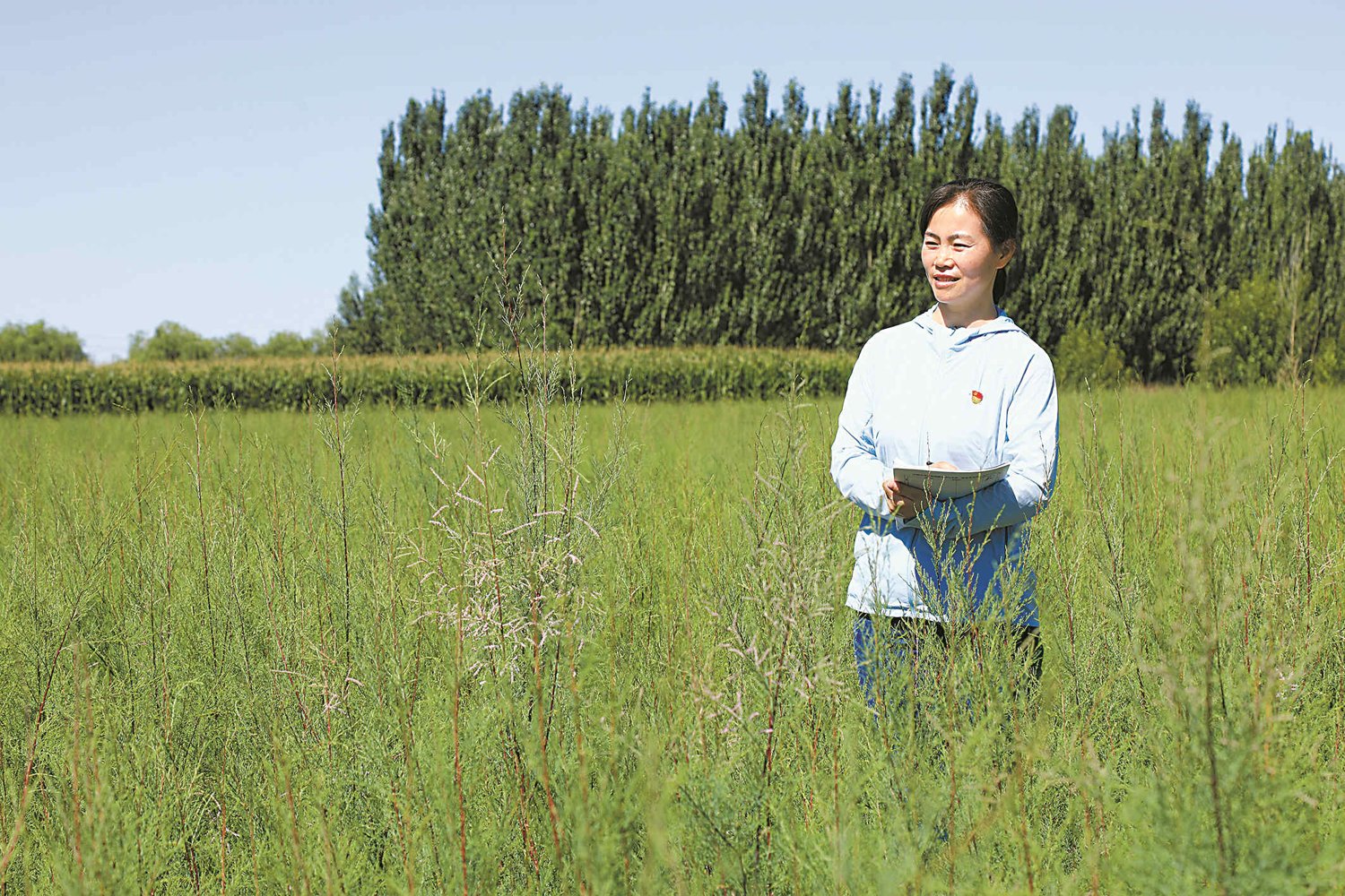 治沙工作者姜莉玲在林地